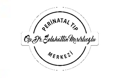 Selahattin Mısırlıoğlu Logo : 